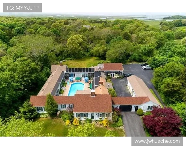 布林狮子迎战休斯顿城全力争胜展现球队实力与风采