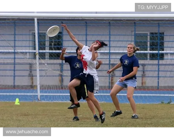 飞盘运动中的心理素质探讨：聚焦北京飞盘队的竞技心态与团队协作