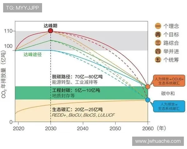 深圳乒乓球队战术解析：从技术细节到团队协作的全面探讨